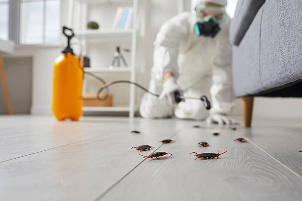 Commercial Rodent Management in Cody