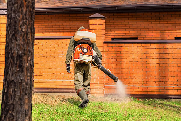 Rodent Follow-Up Monitoring in Cody